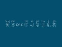 衡水seo学习培训机构_网站优化该怎么做