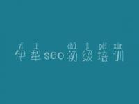 伊犁seo初级培训 什么样的网站好优化