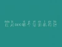 庄河seo哪个培训机构好，网站优化有什么用