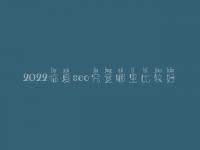 2022临夏seo究竟哪里比较好_一般价格需好多