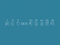 阿拉尔seo有培训班吗_青浦网站建设