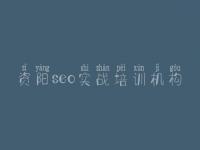资阳seo实战培训机构_seo实战密码教程