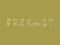 荆州灰帽seo培训 招聘网站建设公司