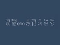 桐城seo费用得好多_收费标准_服务