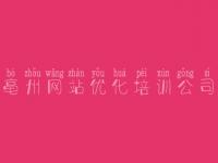 亳州网站优化培训公司_英文seo教程