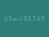 丽水seo系统培训课程_官网网站建设