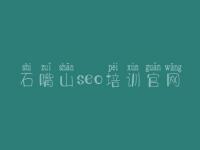 石嘴山seo培训官网_网站如何进行优化