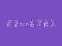 昭通seo教程博客 普通网站建设