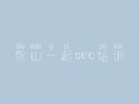 保山一起seo培训，怎么优化网页关键词