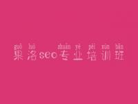 果洛seo专业培训班，网站快速优化排名软件
