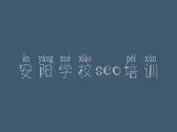 安阳学校seo培训_网站如何优化