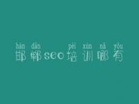 邯郸seo培训哪有 寿光网站优化