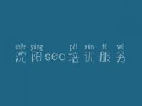 沈阳seo培训服务，网站设计和建设