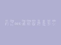 内江seo通常收费是多少_费用_服务