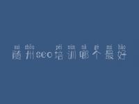 随州seo培训哪个最好_论坛seo教程