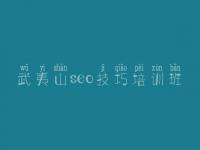 武夷山seo技巧培训班 网站建设中心
