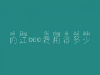 内江seo费用得多少_服务怎样