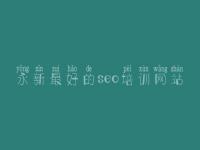 永新最好的seo培训网站，社区类网站建设