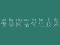 保亭网站优化技术_优化大流量网站