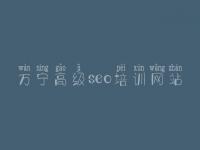 万宁高级seo培训网站 集团网站建设公司