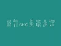 赣州seo黑帽课程_高端黑帽实操