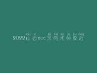 2022山西seo黑帽视频教程_高级黑帽实操