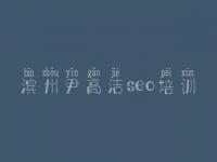 滨州尹高洁seo培训 seo网络推广教程