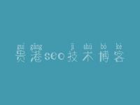 贵港seo技术博客 网站优化如何做