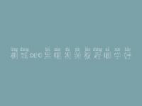 桐城seo黑帽视频教程哪学好