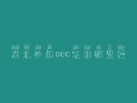 淮北参加seo培训哪里好 免费的网站建设