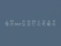 鄂州seo培训公司有哪些，怎么样优化关键词