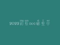 2022阳泉seo哪里学_课程_联系方式