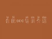 合肥seo培训介绍，seo培训教程seo8