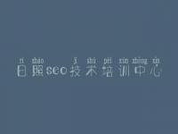 日照seo技术培训中心_seo入门视频教程