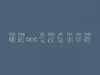 朝阳seo实战培训学院，网页平台建设