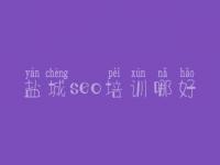 盐城seo培训哪好_公司官网建设哪家好