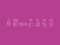 阜阳seo内部培训 seo基本教程