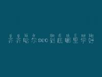 齐齐哈尔seo到底哪里学好_收费是多少