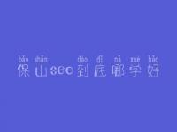 保山seo到底哪学好_一般费用多少