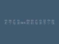万宁培训seo岗前培训多少钱，自学seo视频教程