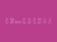 安康seo培训实战体系 网站优化常见的优化技术