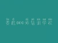 娄底seo师培训学校 网站优化公司