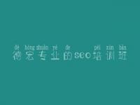 德宏专业的seo培训班，下你网站优化