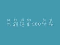 芜湖培训seo价格 安全网站建设