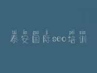 泰安国际seo培训 网站建设如何