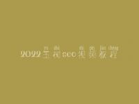 2022玉树seo视频教程，如何优化seo关键词