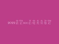 2022南充seo白帽视频教程_精品白帽实战