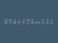 桐城哪里有正规seo培训的，哪里有网站优化公司
