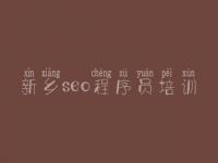 新乡seo程序员培训_营销型网站建设