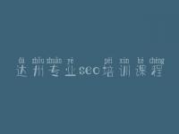 达州专业seo培训课程_需要网站建设